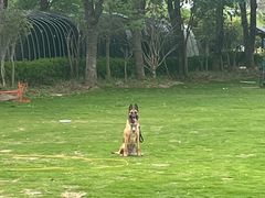 -不觉晓CAMPING(上海迪士尼营地店)