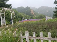 -云峰山自然风景区
