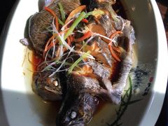 清蒸虹鳟鱼-卧龙堡客栈·中餐厅(古北水镇店)