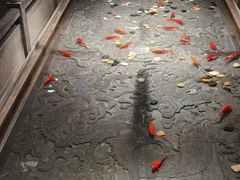 -四季民福烤鸭店(前门店)