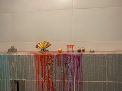 -柴务处·柴犬主题狗咖