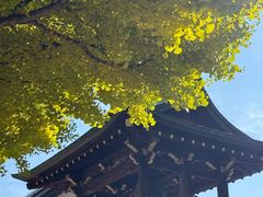 -医王山·飞騨国分寺