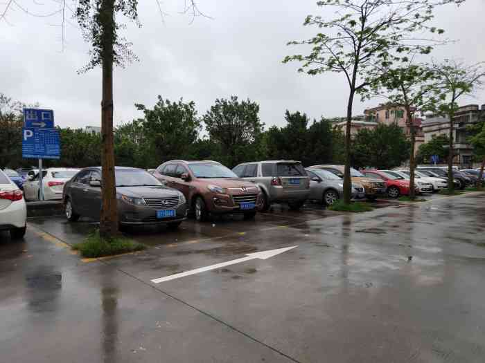 佛山市南海区里水镇行政服务中心-停车场