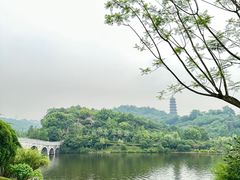 -重庆园博园