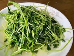 酒香豆苗-沈记菜馆(酒仙桥路店)
