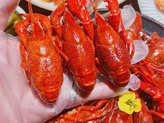 -山葵家居酒屋(天目里店)