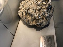 -中国地质大学逸夫博物馆