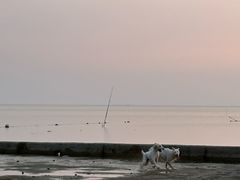 -洪泽湖古堰景区