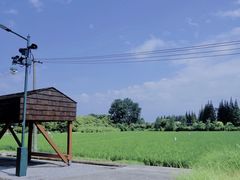 -嘉北郊野公园