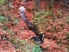 -龙井壹号·茶缘山景宴(龙井村店)