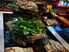 -杭宁香吧岛龙虾(观城店)