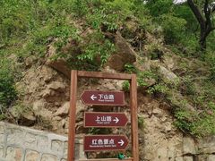 -大岭沟猕猴桃谷风景区