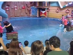 -烟台海昌鲸鲨海洋公园