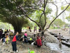 -成都市活水公园