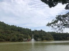 -广州白江湖森林公园