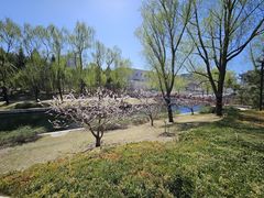 -元大都城垣遗址公园