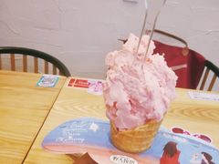 -野人先生现做冰淇淋(北京环宇荟店)