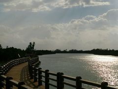 -东寨港红树林旅游区