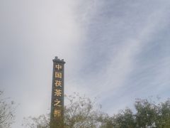 -茯茶镇
