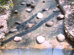 -合肥滨湖国家森林公园