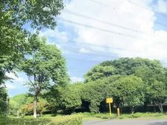 -九里河湿地公园