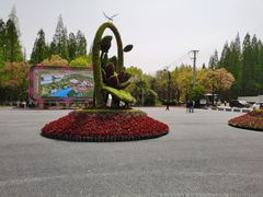 -东平国家森林公园
