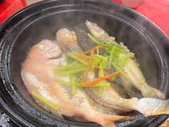 -蛇口康乐快餐鱼仔档(翠苑小区店)