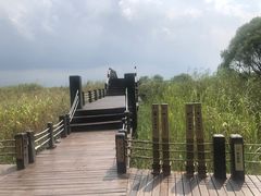 -太湖湖滨国家湿地公园-停车场