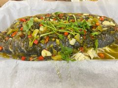 纸包鱼-金百万烤鸭店(马甸店)