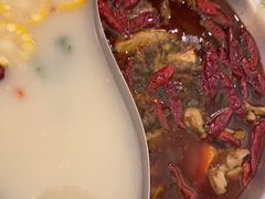 -麻田会 ·鲜活现烹·牛蛙火锅(珠江新城维家思广场店)