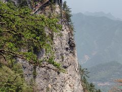 -秦岭天竺山生态文化旅游景区