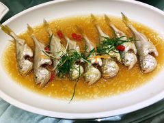 清蒸野生小黄鱼-新丁香海鲜主题餐厅(现代花园店)