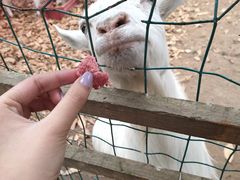 -杭州师范大学(下沙校区)