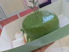 -狐狸和向日葵(北京路店)