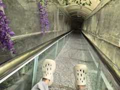 -佛爷洞旅游景区