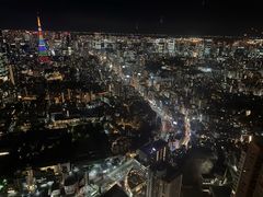 -六本木新城展望台(东京城市景观)