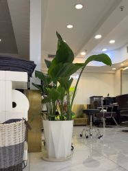 -雅仕 HAIR SALON 美发沙龙