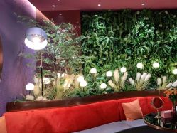 点击看大图 -花隐·美芙炫海菲秀皮肤管理中心