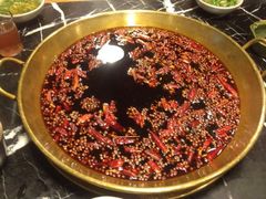 红油锅-杨家火锅(国美店)