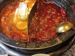 -蜀大侠火锅(总府路店)