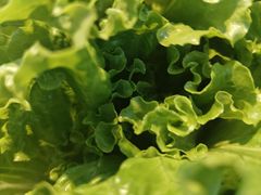 -醉二娘正宗西昌火盆烧烤(大丰店)