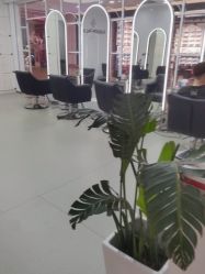 -时尚殿堂hair salon