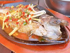 -沙州食驿·非遗小吃夜市