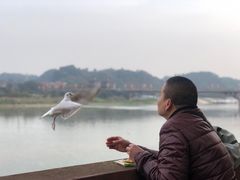 -鲍六孃甜皮鸭
