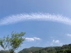 -水濂山森林公园