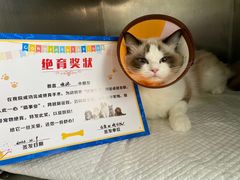 -佳雯宠物医院(四明中路分院)