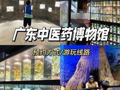 -广东中医药博物馆