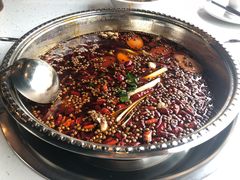 -麻辣巅峰美蛙鱼头火锅(犀浦店)