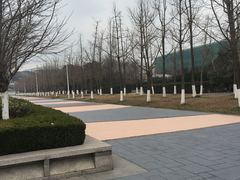 -金陵图书馆