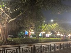 -广州长隆国际大马戏